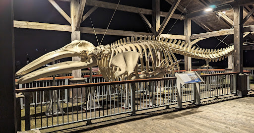 Port Townsend Marine Science Center - Visitor Center and Store - Thumbnail