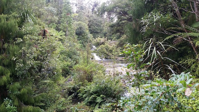 Waitakere Ranges Regional Parkland