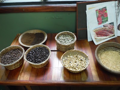 Photos of Cafe Finca Rosa Blanca Organic Coffee Farm