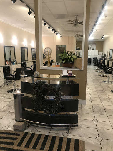 PUEBLO SALON in the SALON SALON Logo