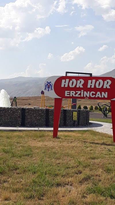 Erzincan Municipality Thermal Plants