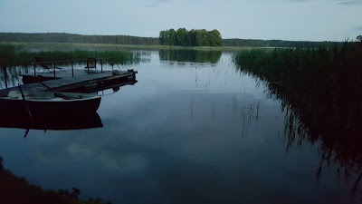 Photos of Siesartis