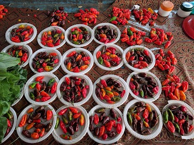 Photos of Nadi Market