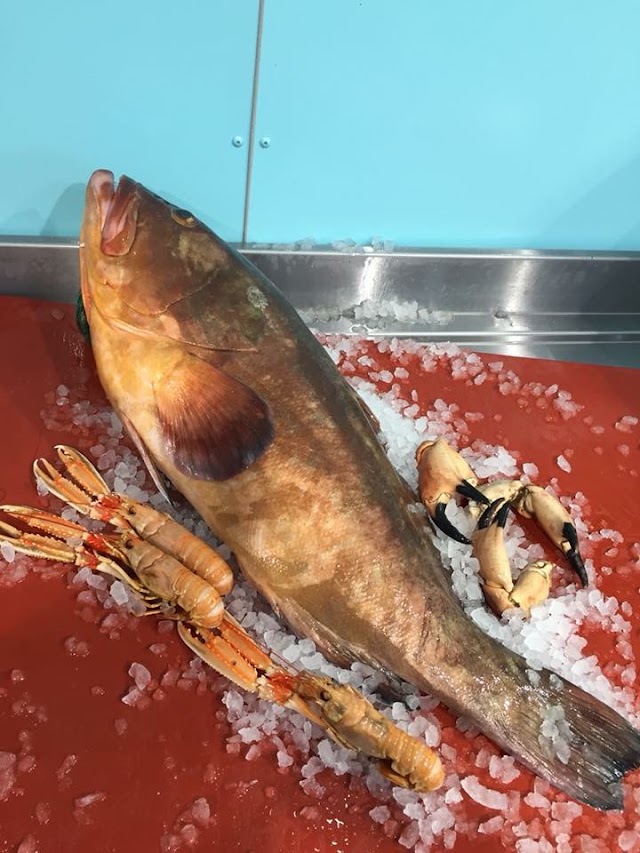 SamakFish