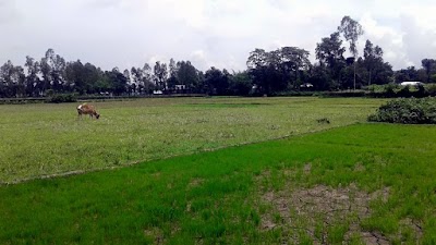 Photos of ক্লান্তিশেষে Resort