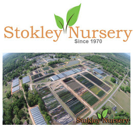 Stokley Nursery