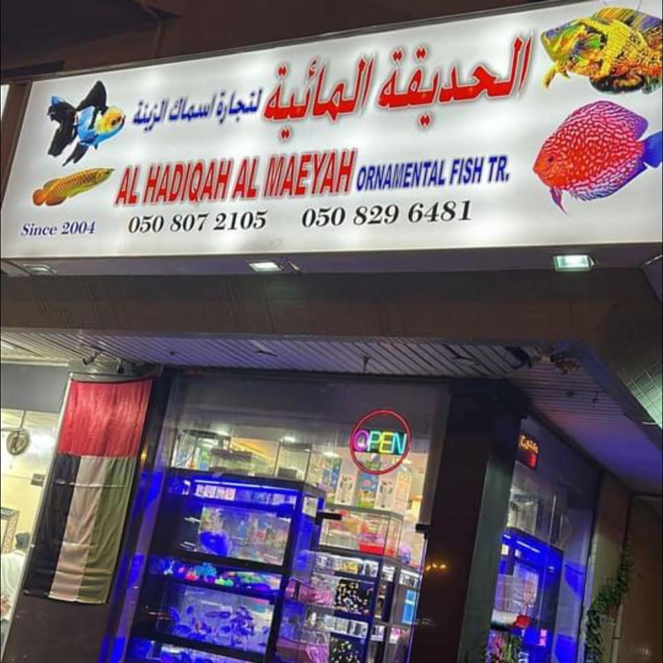 الحديقه لاحواض وسمك الزينه Al Hadiqah Aquariums and Fish