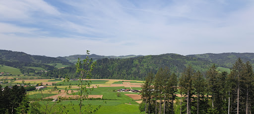 Walderlebnispfad Gutach-Bleibach