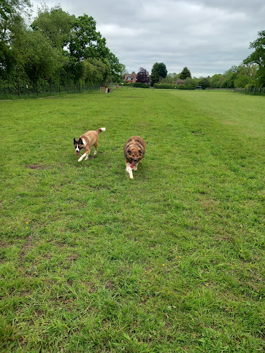 Hampton Lovett Secure Dog Field - Thumbnail