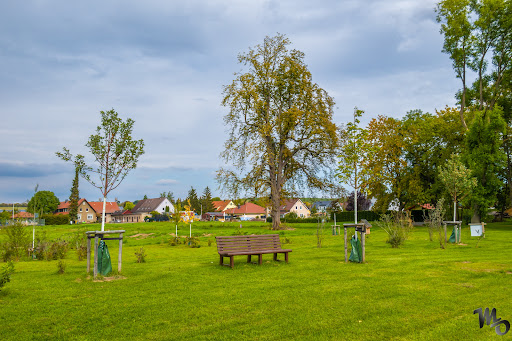 Bürgerpark Merxleben - Visual