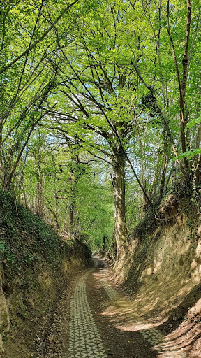 Keschteweg - Thumbnail