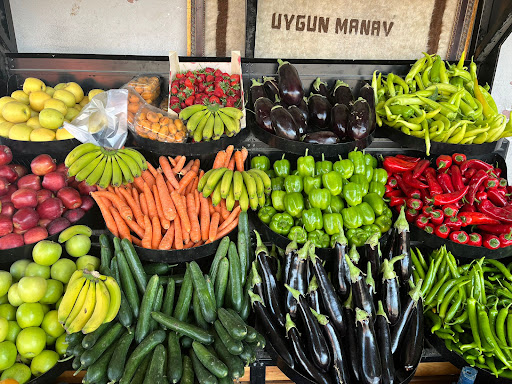 UYGUN MANAV