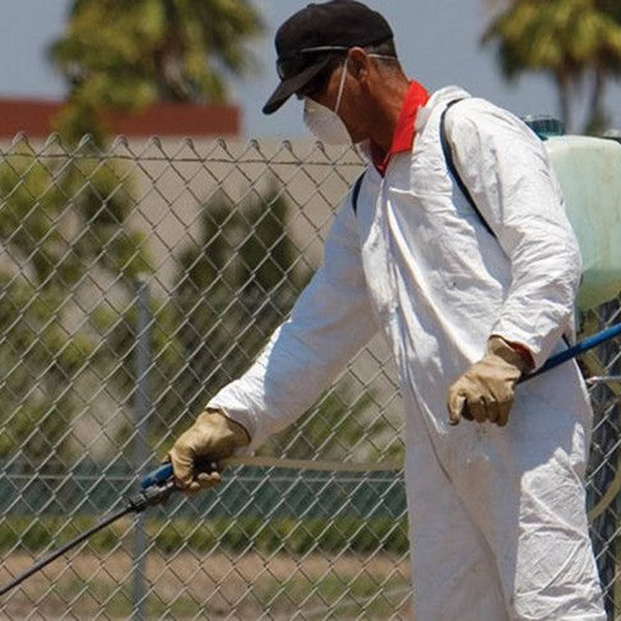 Pest Control Chicagoland, Inc Pest Control Chicagoland, Inc is the best pest control service