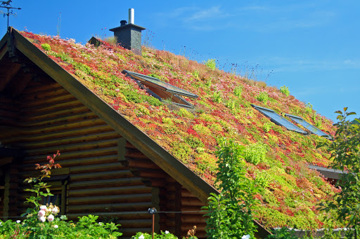 Living Roofs UK