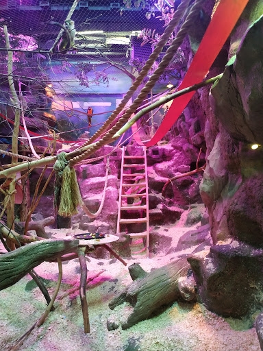 Ekzoopark - Visual