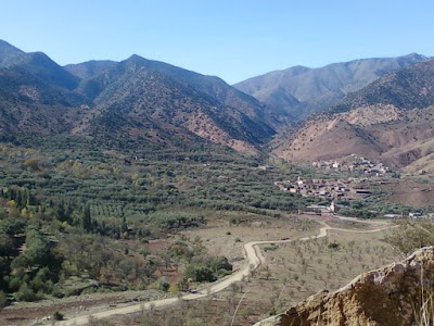 Photos of Caf&eacute; restaurant Gundafa