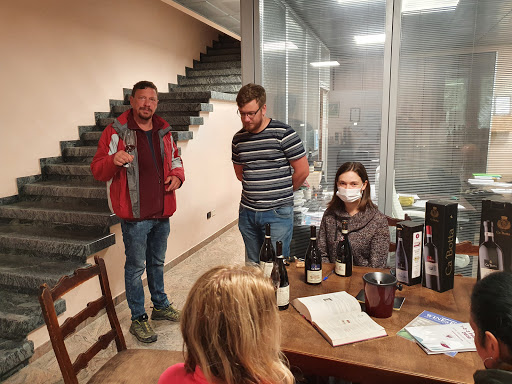 Ca' Botta Vini - Visual