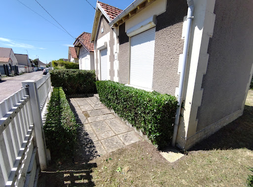 Photo de La feuille à Ouistreham (14150)