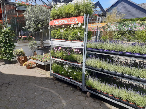 Gärtnerei van der Bloemen - Thumbnail