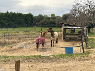 Photo n°16 de Restaurant Ici t'es Ailleurs à Grasse (Restaurant français)