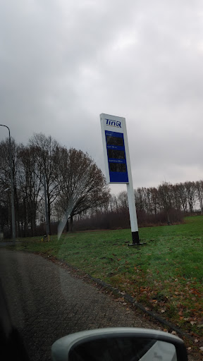 TinQ Rolde - Thumbnail