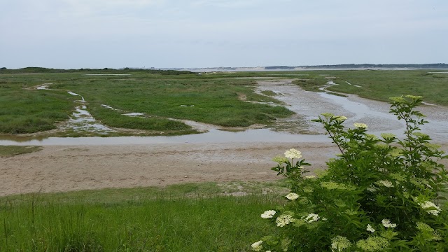 Baie d'Authie