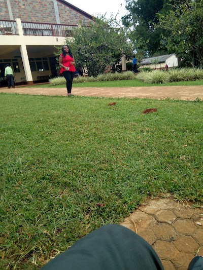 Photos of UEAB park