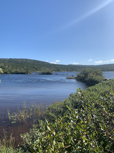 Backside Pond Park