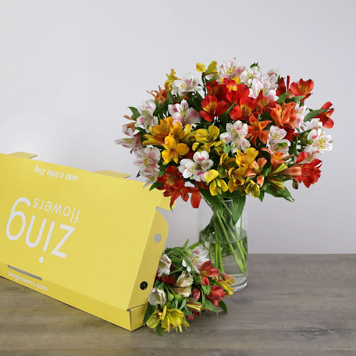 Zing Flowers - Visual