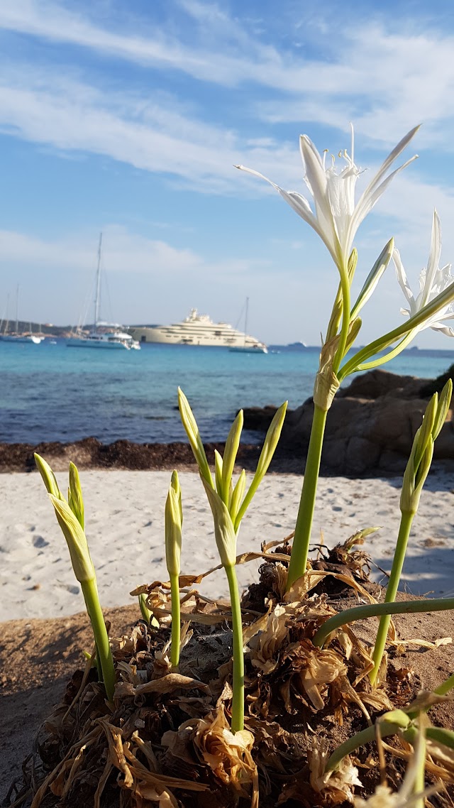 Spiaggia del Grande Pevero