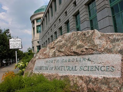 museum