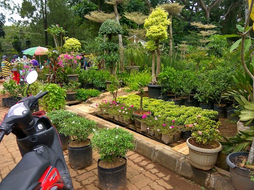 Taman Kota 2 BSD, Author: yuli setiawan