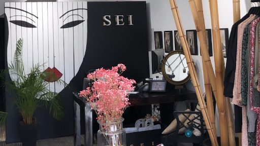 SEI - Visual
