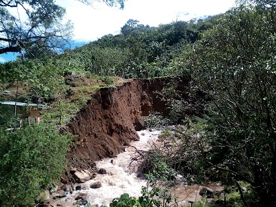 Photos of Fundaci&oacute;n Nubotropica