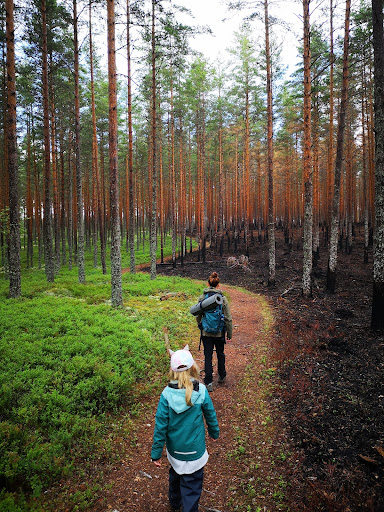 Kotjärnsterrasen - Thumbnail