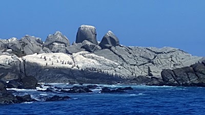 Photos of Isla de Cachagua