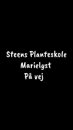 Anmeldelser af Steen's Planteskole Stue & Havecenter i Nakskov - Anlægsgartner