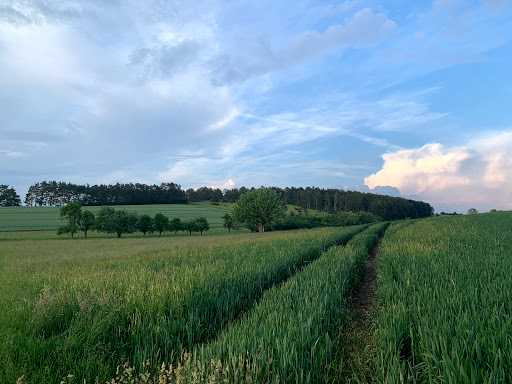 SILBERBERG Nature Reserve