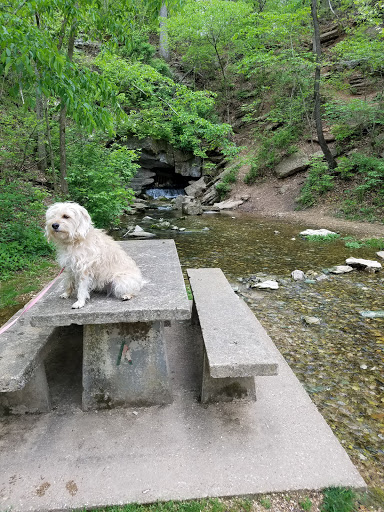 Blowing Springs Park - Thumbnail