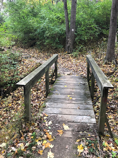 Mt Airy Forest Park - Thumbnail