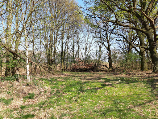 Allerwiesen - Thumbnail