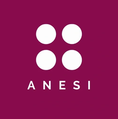 Anesi - Visual
