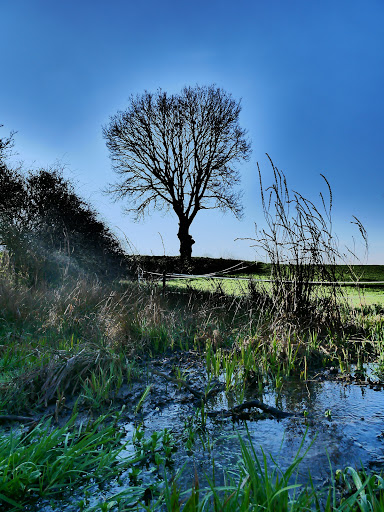 Dorfbach - Thumbnail