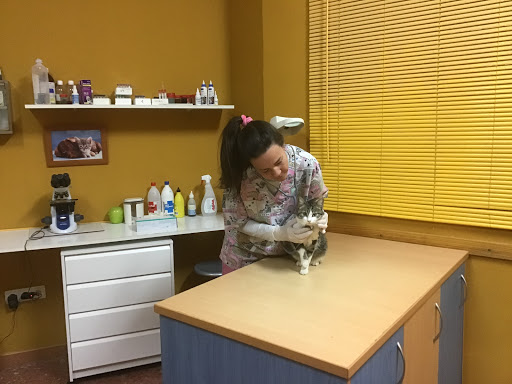 Centro Veterinario Fuentes de Ebro - Thumbnail