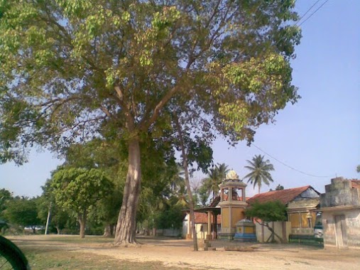 Villupathi murugan kovil,puloly., Author: Aingaran G.