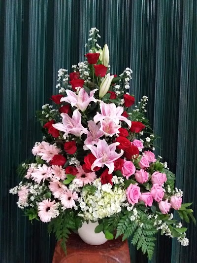 Photos of Alfi Florist