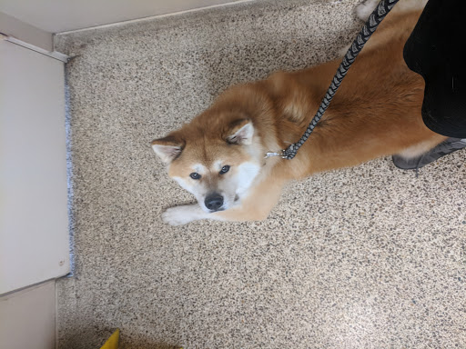 Garden Grove Dog and Cat Hospital - Thumbnail