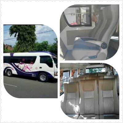 Photos of Dinno Trans