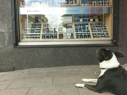 Hackney Jewellers - Thumbnail