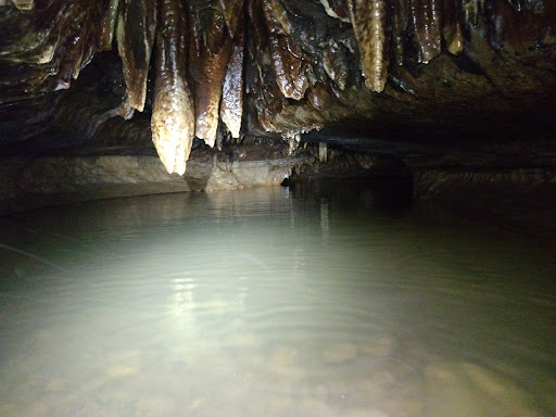 Illinois Caverns - Visual